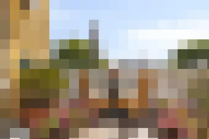 Hogeweg 76 F 6 Zandvoort thumbnail 22