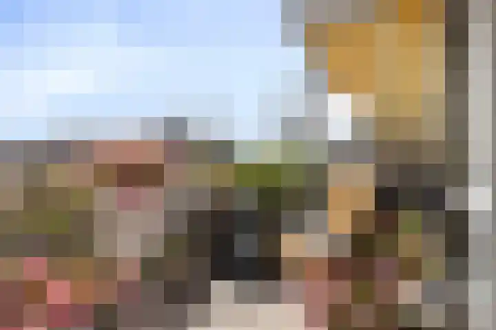 Hogeweg 76 F 6 Zandvoort thumbnail 23