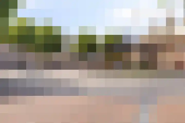 Hogeweg 76 F 6 Zandvoort thumbnail 31
