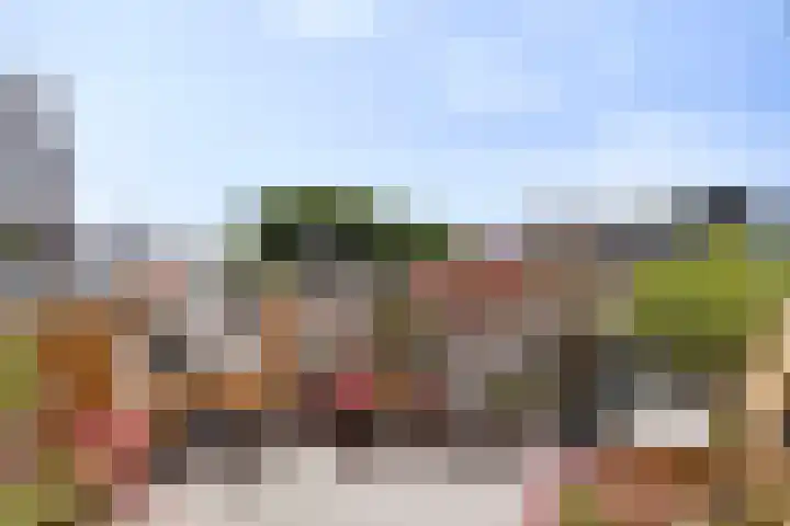 Hogeweg 76 F 6 Zandvoort thumbnail 4