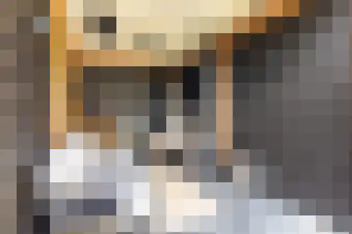Hogeweg 8 B Apeldoorn thumbnail 32
