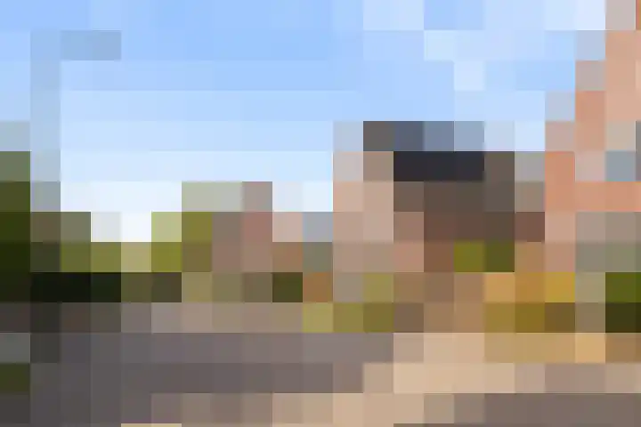 Hogeweg 8 B Apeldoorn thumbnail 36