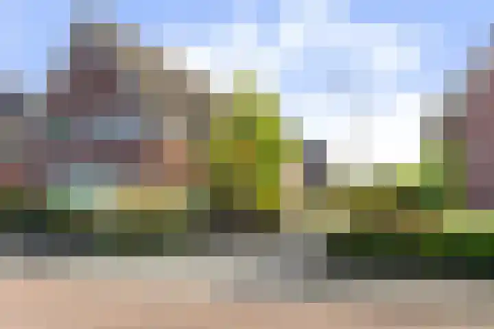 Hogeweg 8 B Apeldoorn thumbnail 37