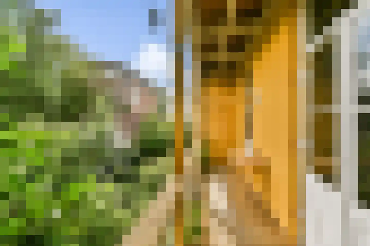Hogeweg 8 H Amsterdam thumbnail 20