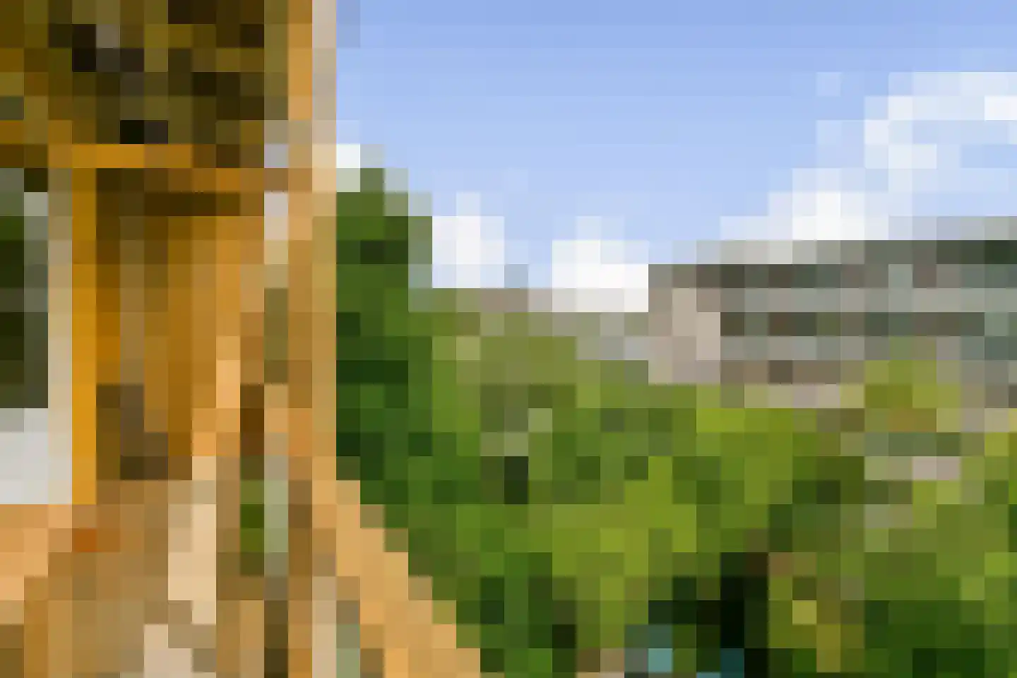 Hogeweg 8 H Amsterdam thumbnail 21