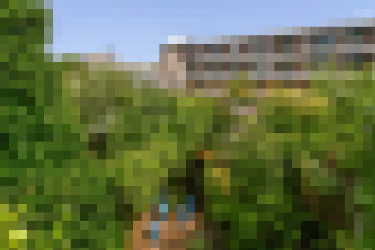Hogeweg 8 H Amsterdam thumbnail 22