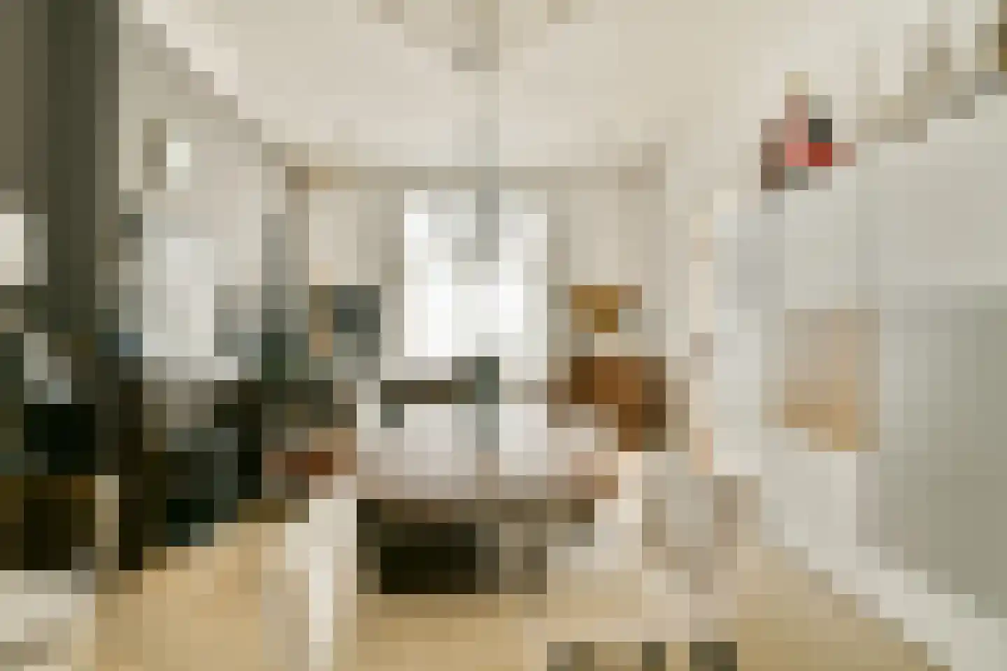 Hogeweg 8 H Amsterdam thumbnail 26