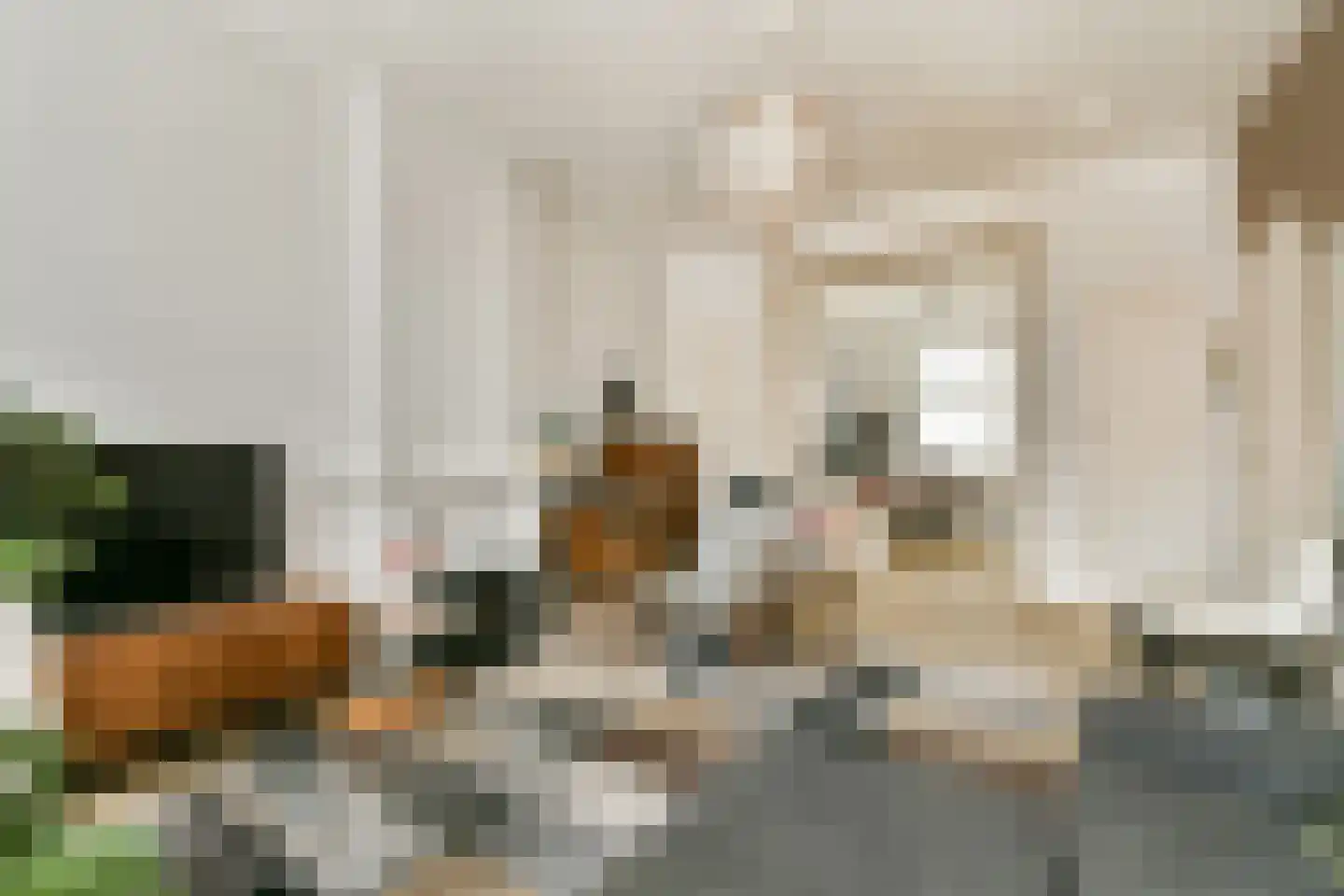Hogeweg 8 H Amsterdam thumbnail 28