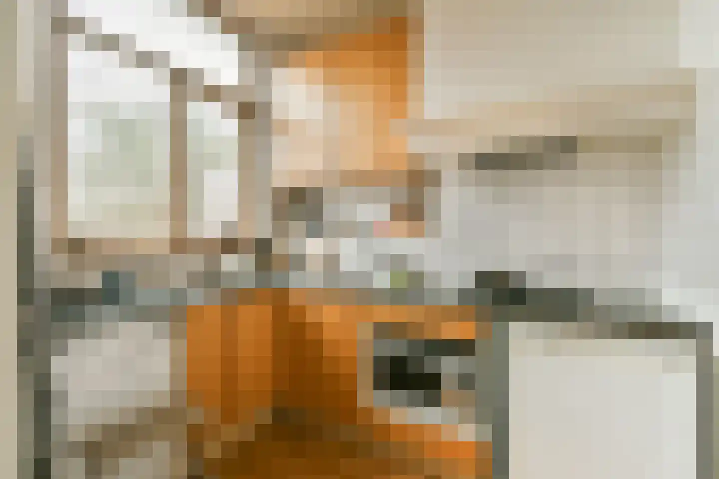 Hogeweg 8 H Amsterdam thumbnail 29