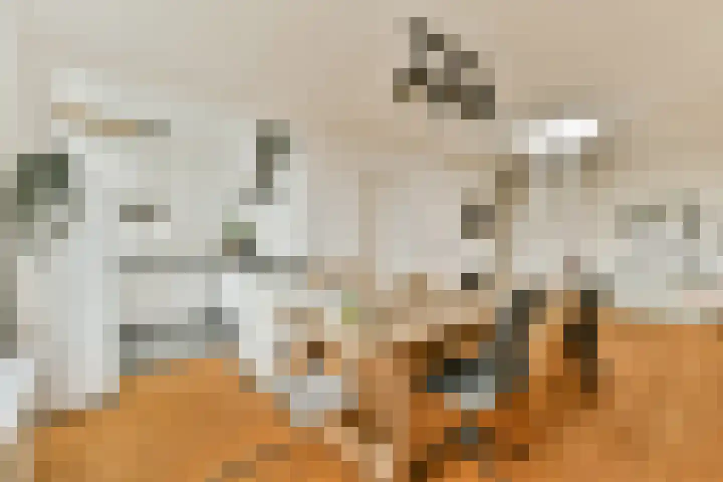 Hogeweg 8 H Amsterdam thumbnail 34