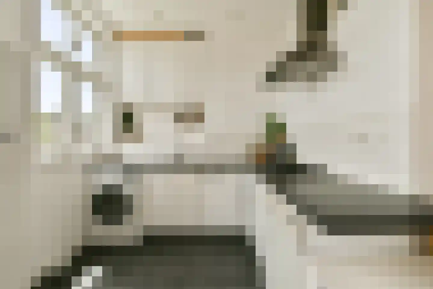 Hogeweg 8 H Amsterdam thumbnail 35