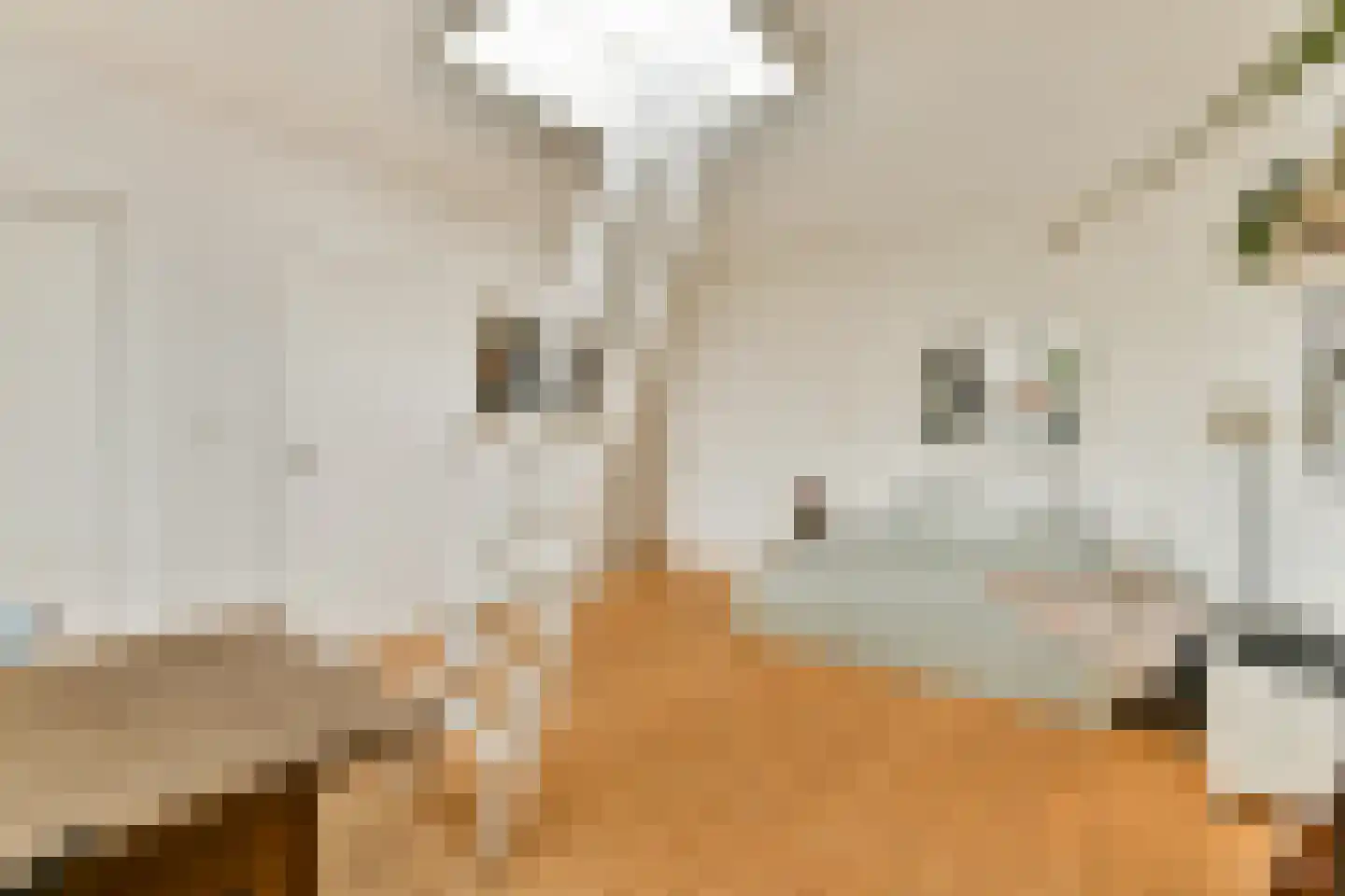 Hogeweg 8 H Amsterdam thumbnail 36