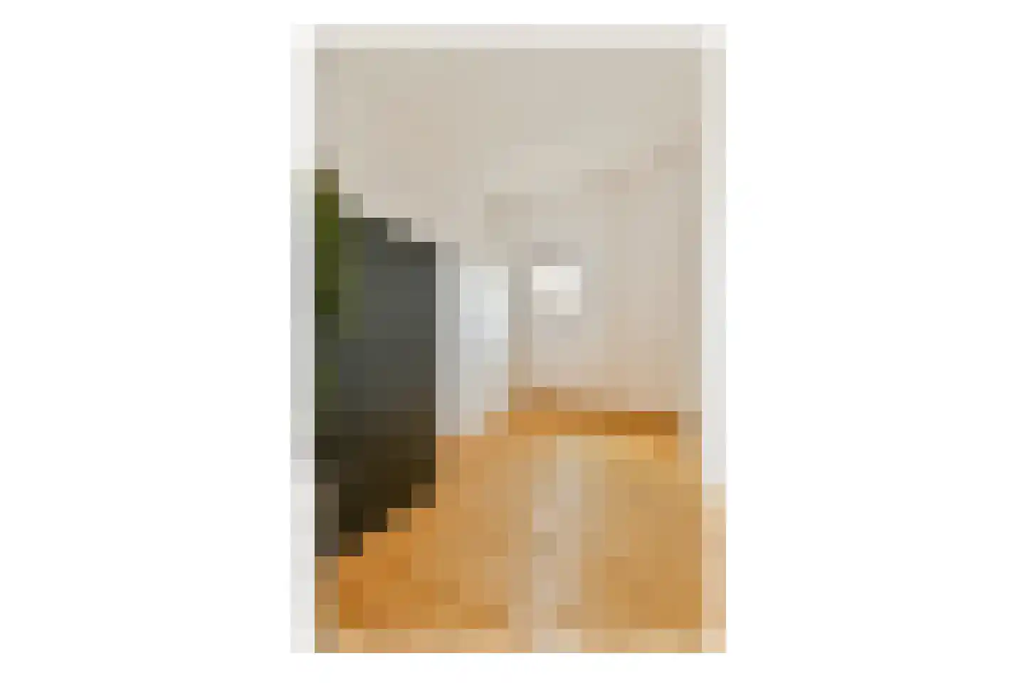 Hogeweg 8 H Amsterdam thumbnail 40