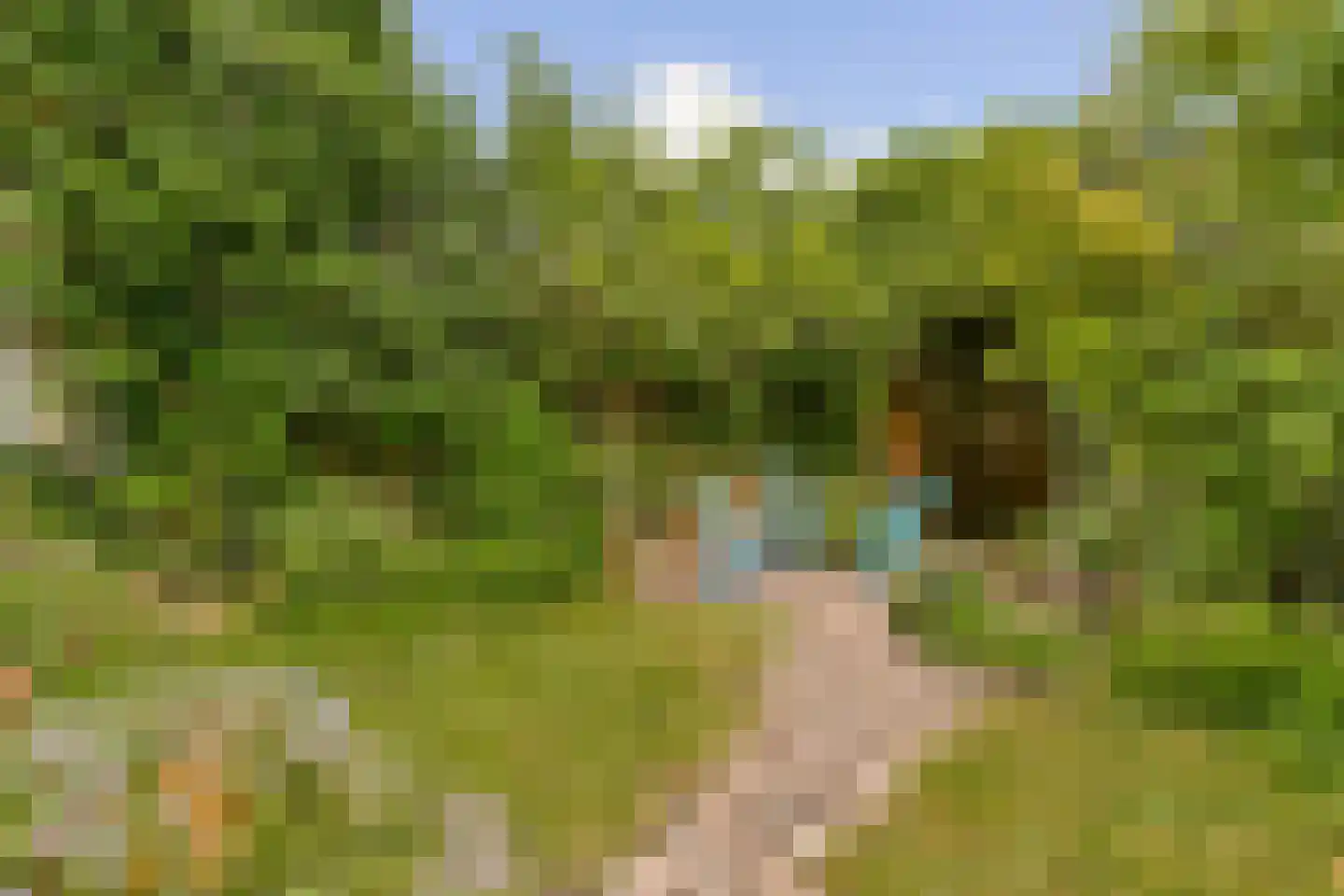 Hogeweg 8 H Amsterdam thumbnail 9