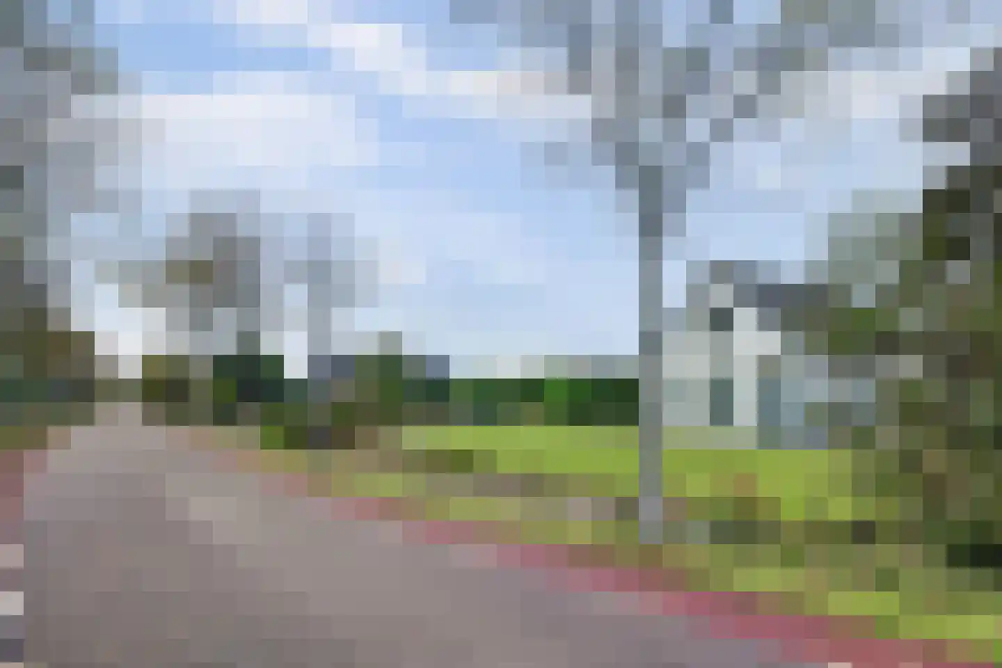 Hogeweg 84 Burgh-Haamstede thumbnail 44