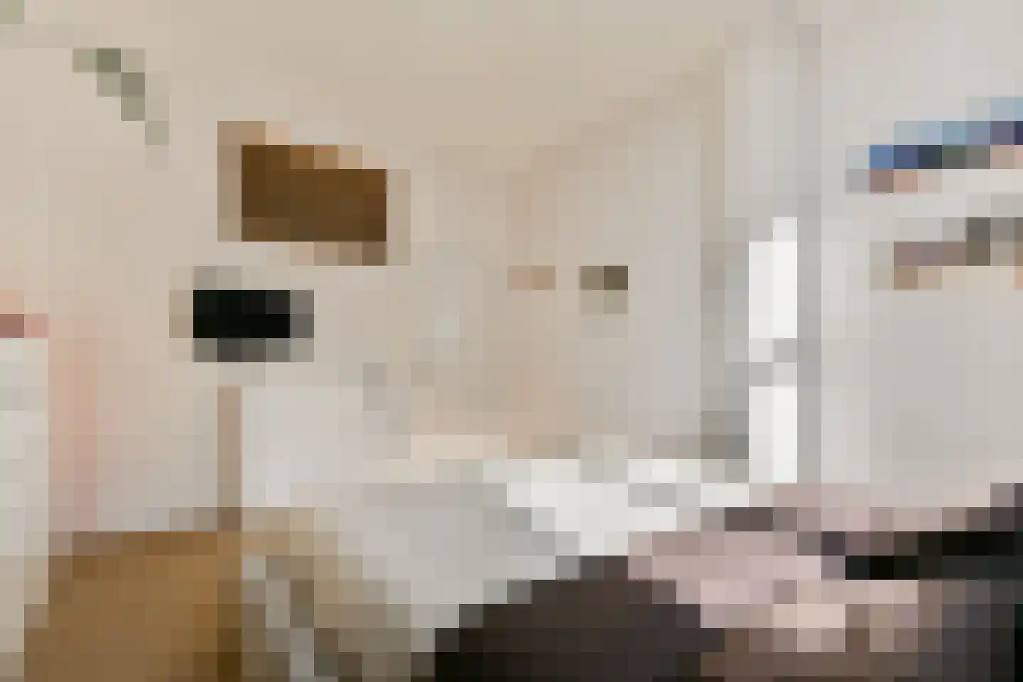 Hogeweg 84 H Amsterdam thumbnail 10
