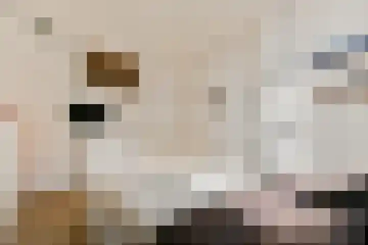 Hogeweg 84 H Amsterdam thumbnail 10