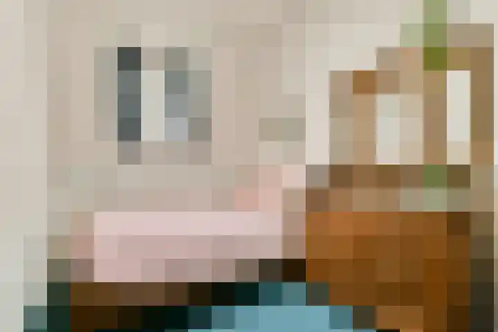 Hogeweg 84 H Amsterdam thumbnail 14