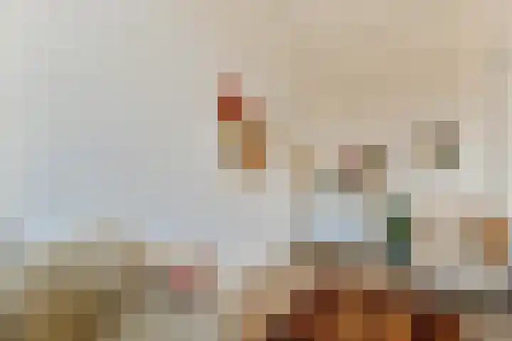 Hogeweg 84 H Amsterdam thumbnail 15