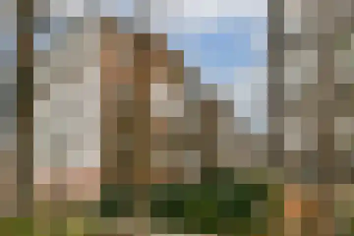 Hogeweg 84 H Amsterdam thumbnail 21