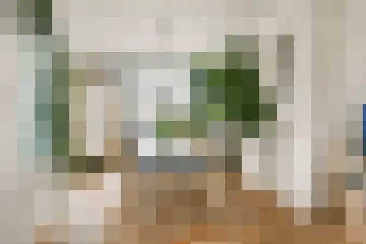 Hogeweg 84 H Amsterdam thumbnail 4