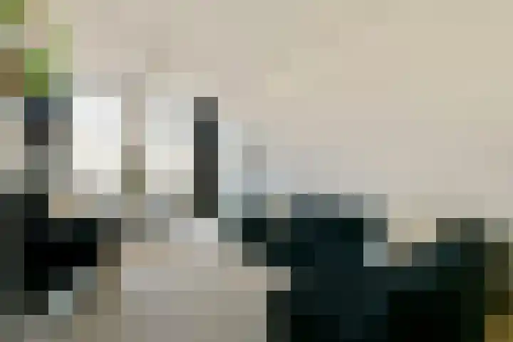 Hogeweg 84 H Amsterdam thumbnail 5