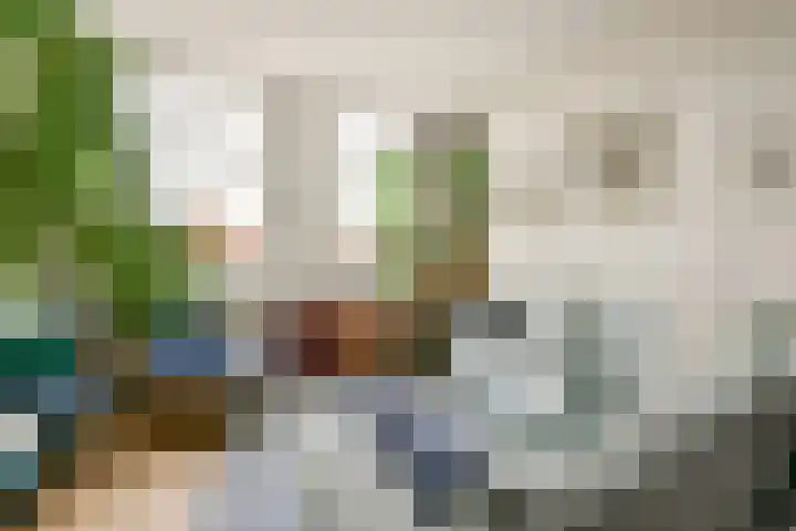 Hogeweg 84 H Amsterdam thumbnail 5