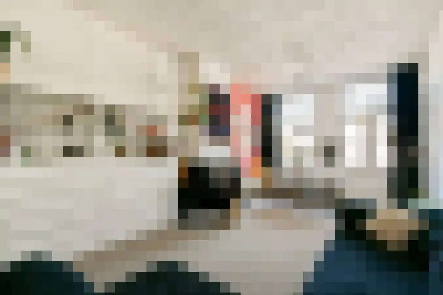 Hogeweg 84 H Amsterdam thumbnail 6