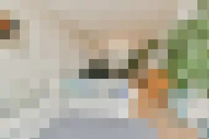 Hogeweg 84 H Amsterdam thumbnail 6