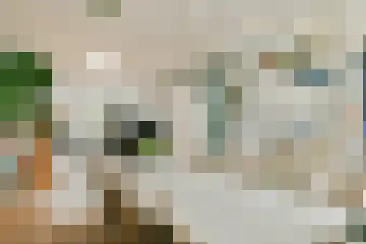 Hogeweg 84 H Amsterdam thumbnail 8