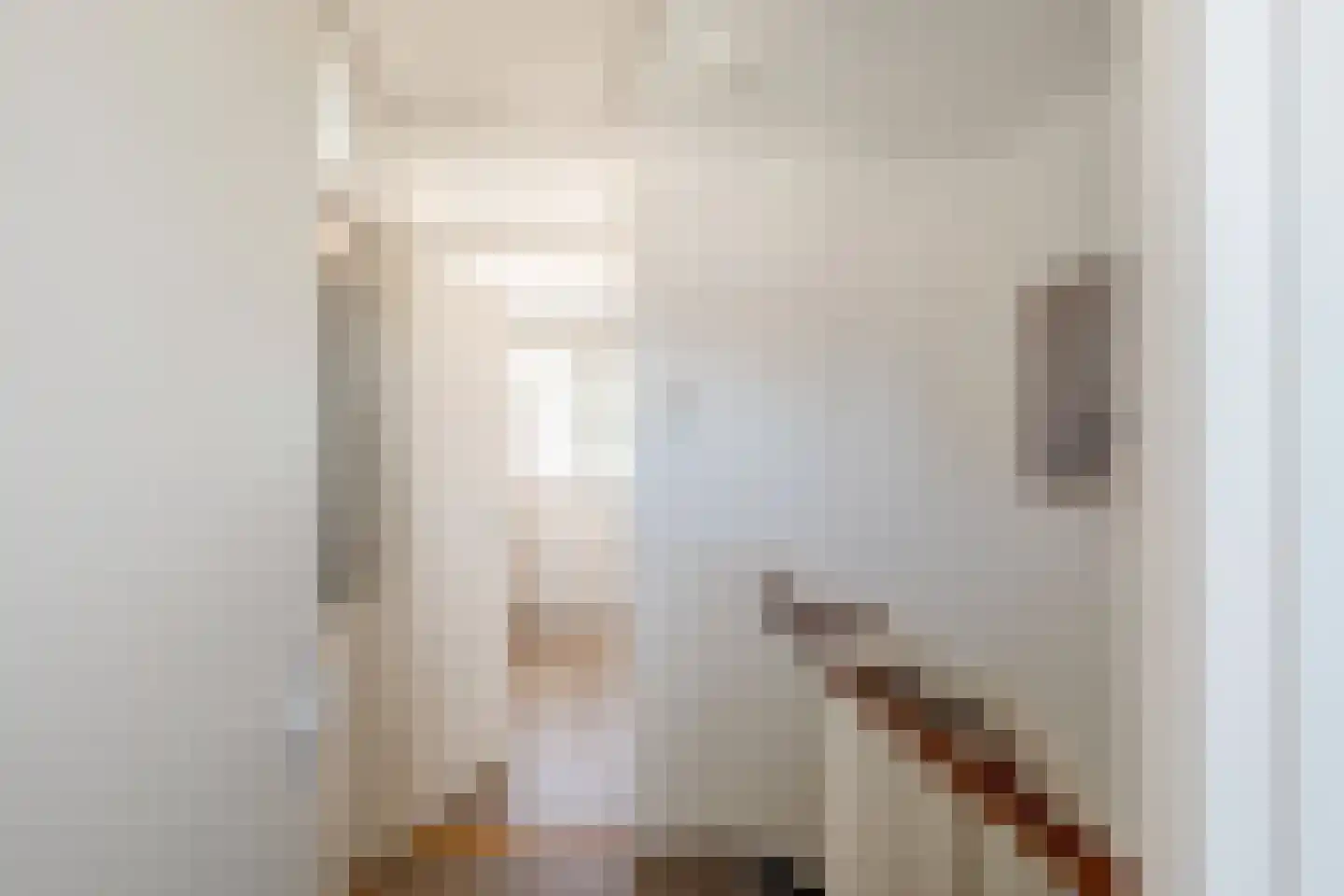Hogeweg 84 Losser thumbnail 14