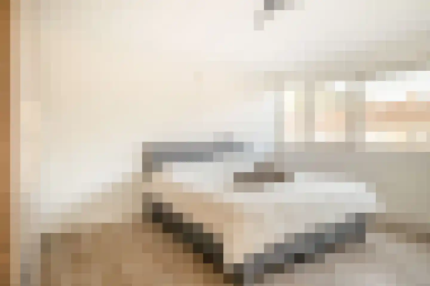 Hogeweg 84 Losser thumbnail 17