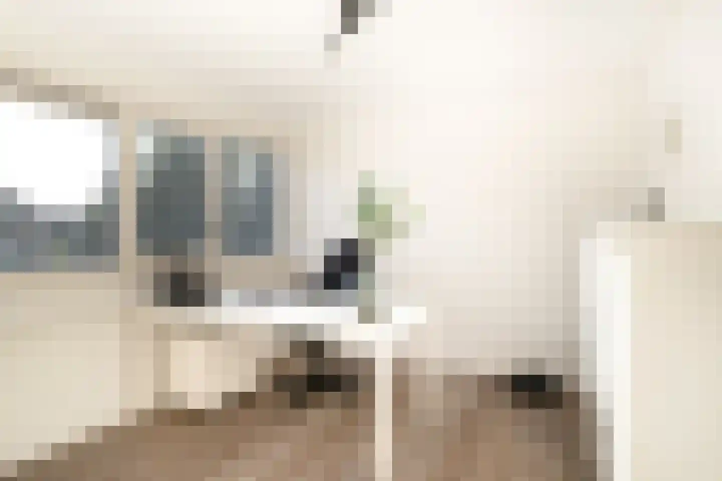 Hogeweg 84 Losser thumbnail 20
