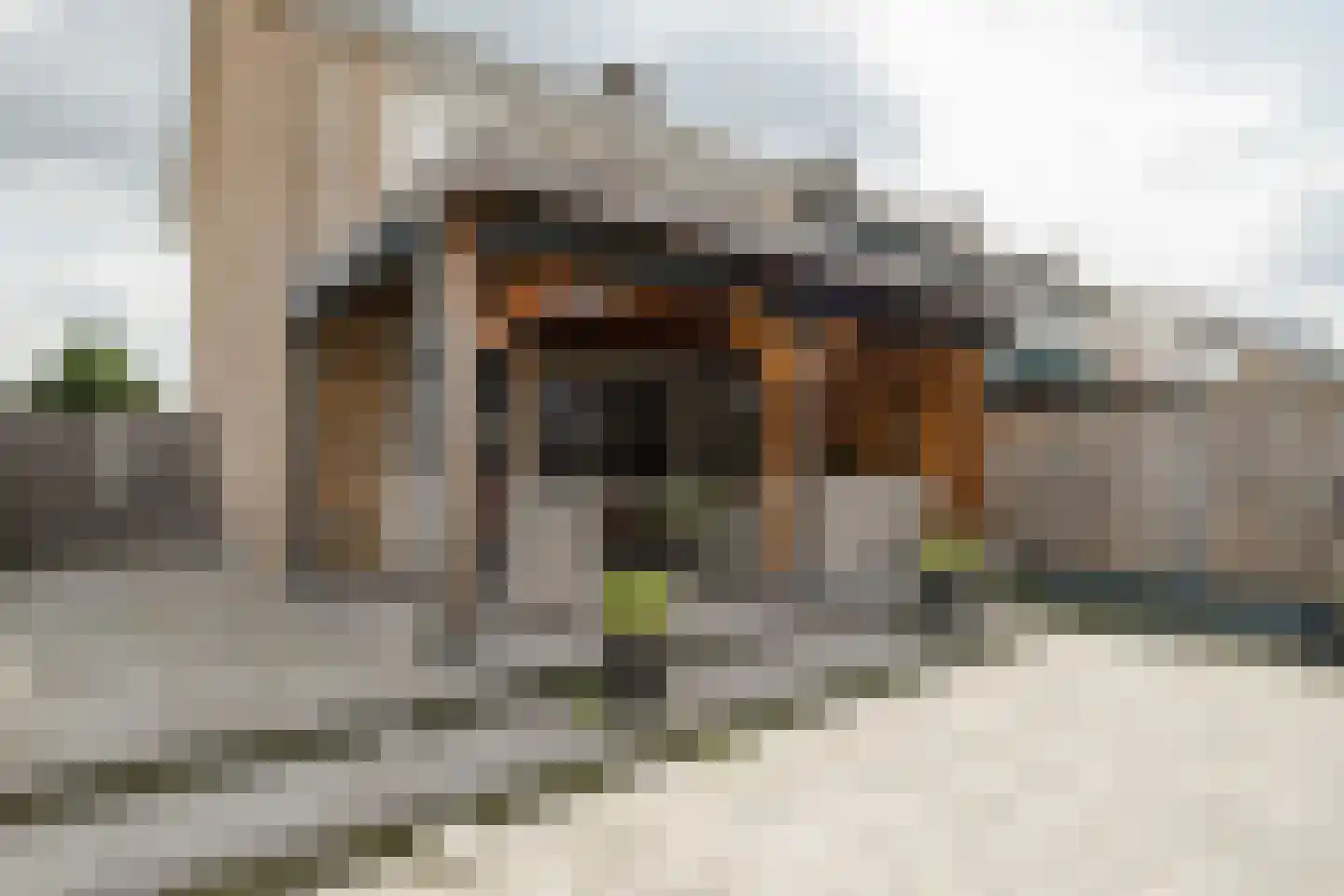 Hogeweg 84 Losser thumbnail 22