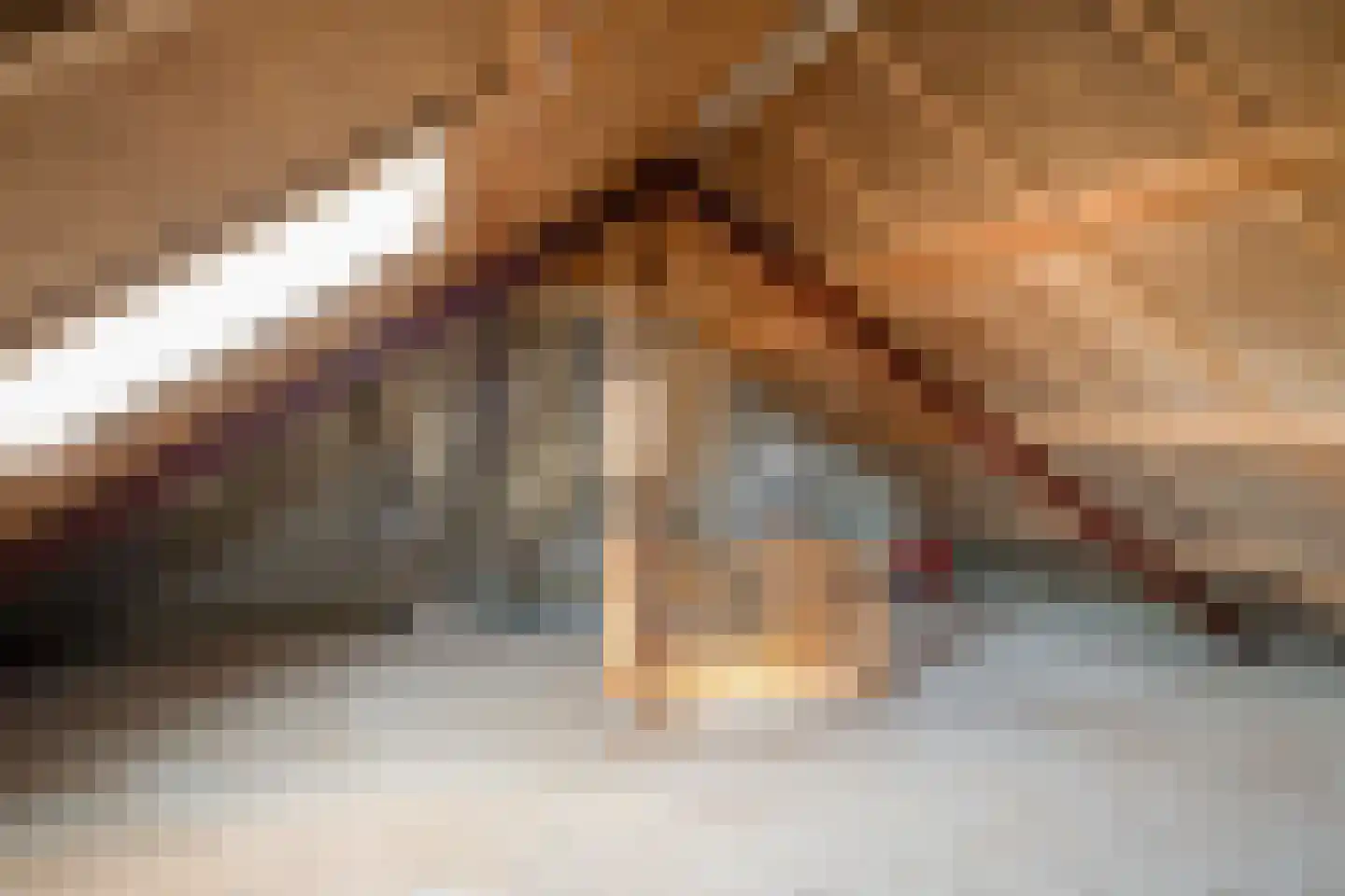 Hogeweg 84 Losser thumbnail 25