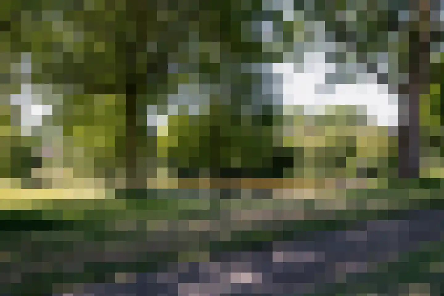 Hogeweg 84 Losser thumbnail 27