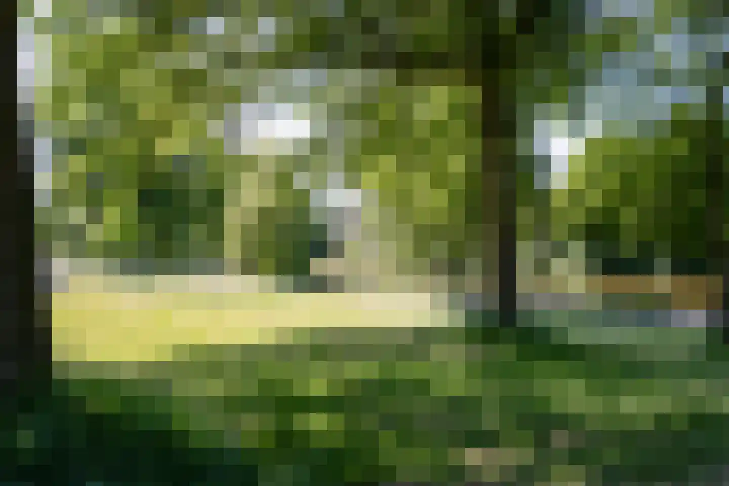 Hogeweg 84 Losser thumbnail 28