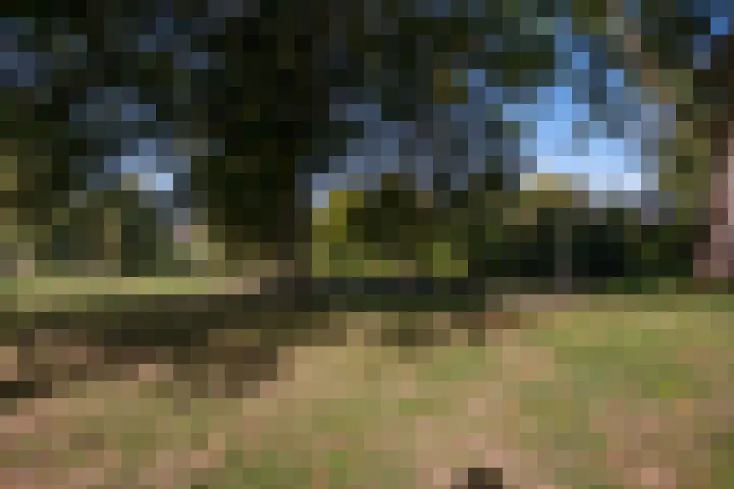 Hogeweg 84 Losser thumbnail 35