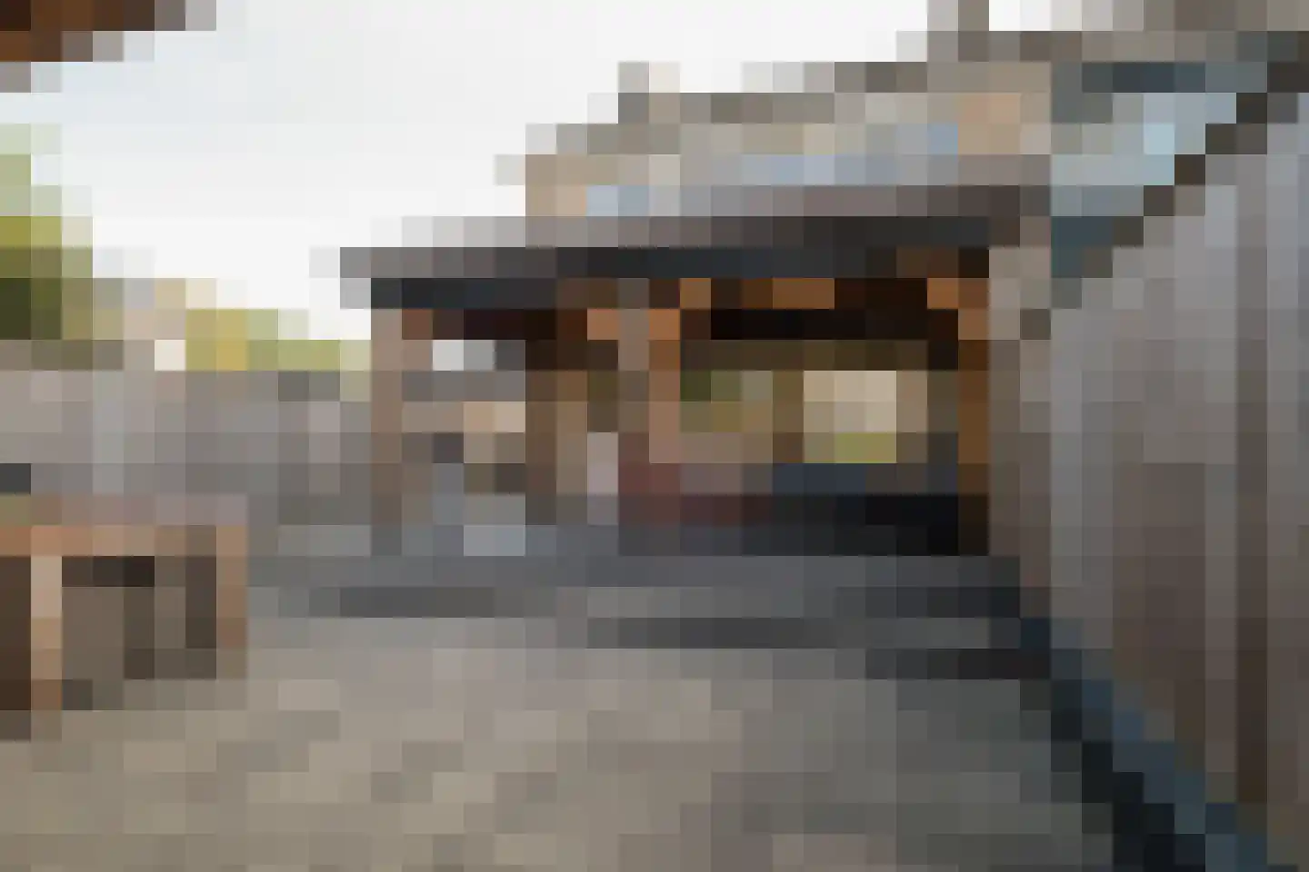 Hogeweg 84 Losser thumbnail 4
