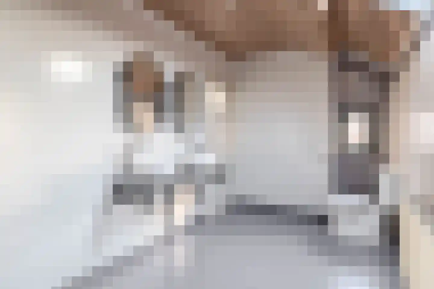 Hogeweg 84 Vlissingen thumbnail 26