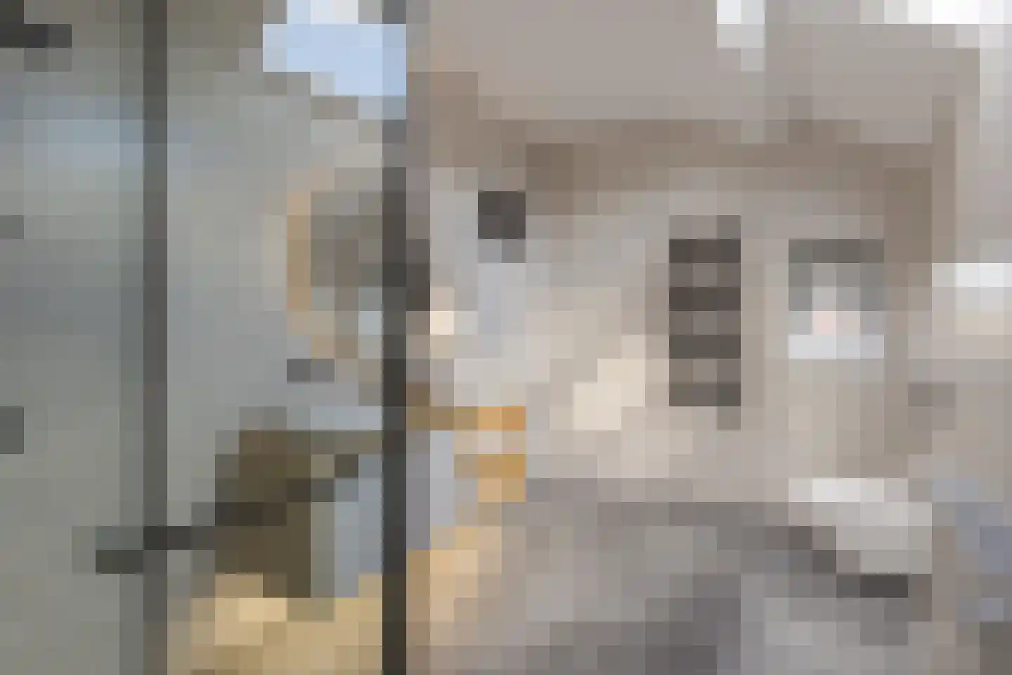 Hogeweg 84 Vlissingen thumbnail 27