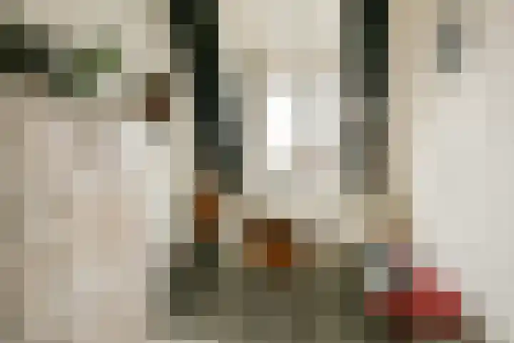 Hogeweg 86 H Amsterdam thumbnail 17