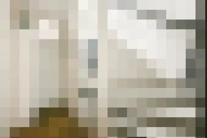 Hogeweg 86 H Amsterdam thumbnail 20