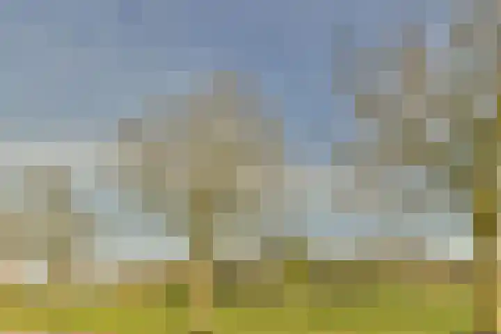 Hogeweg 86 H Amsterdam thumbnail 34