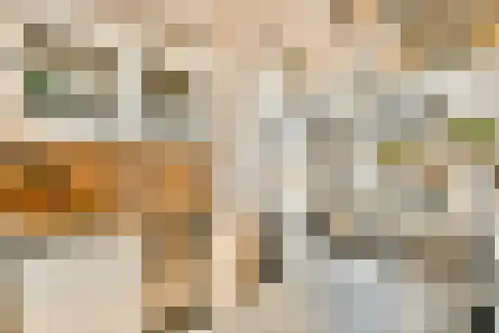 Hogeweg 86 H Amsterdam thumbnail 9