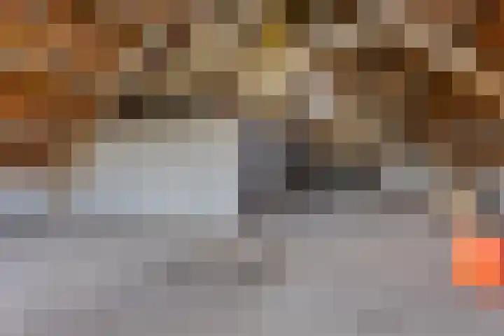Hogeweg 9 Dreumel thumbnail 30