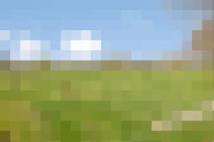 Hogeweg 9 Dreumel thumbnail 40