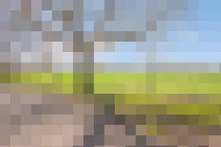 Hogeweg 9 Dreumel thumbnail 41
