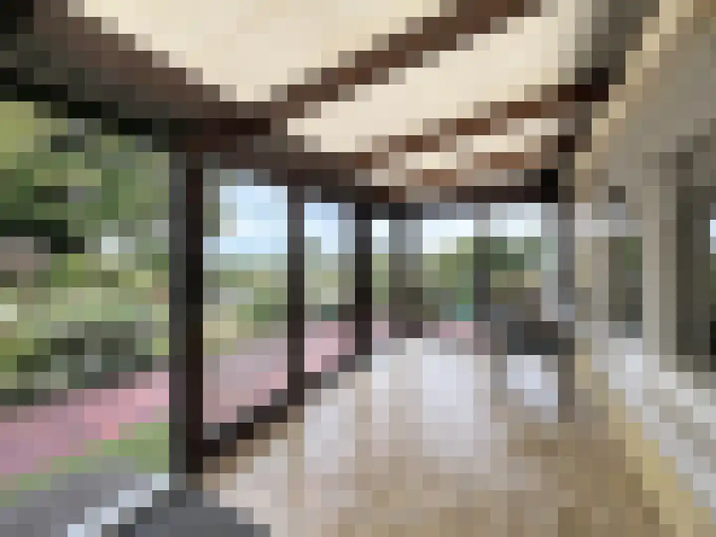 Hogeweg 9 Hoofdplaat thumbnail 6
