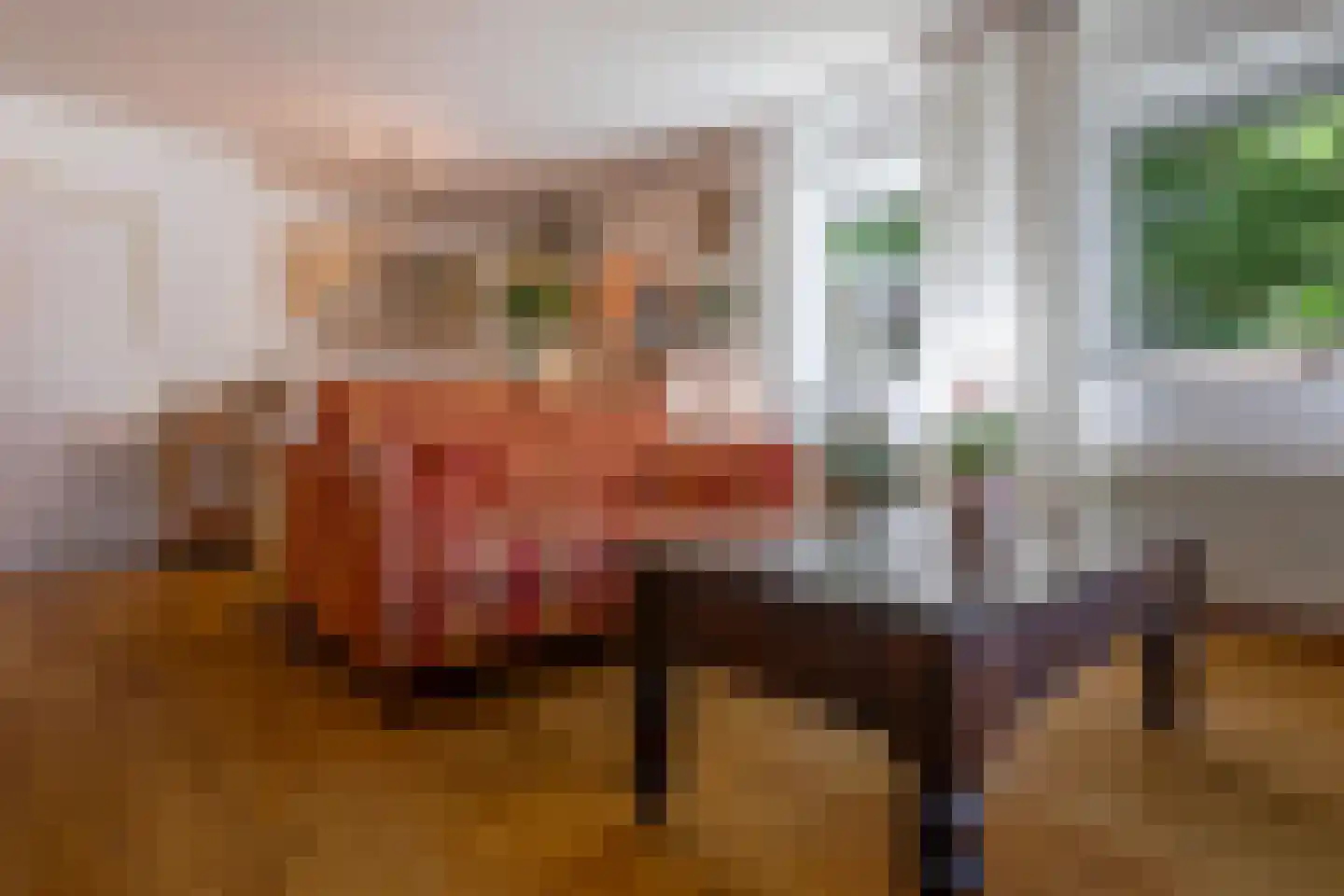 Hogeweg 91 Voerendaal thumbnail 8